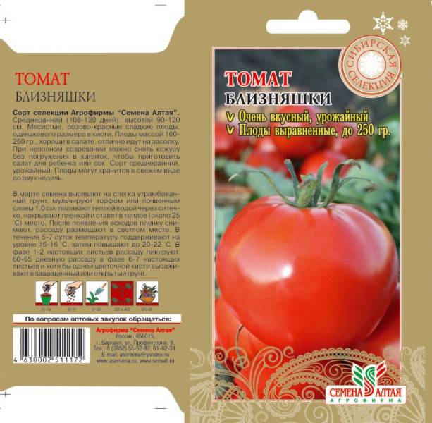 Описание томата алтаечка, выращивание и борьба с заболеваниями