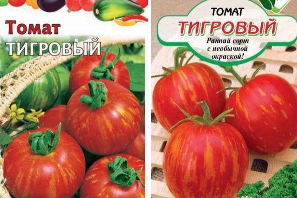 Томат тигренок - характеристика и описание сорта, фото, урожайность, отзывы овощеводов