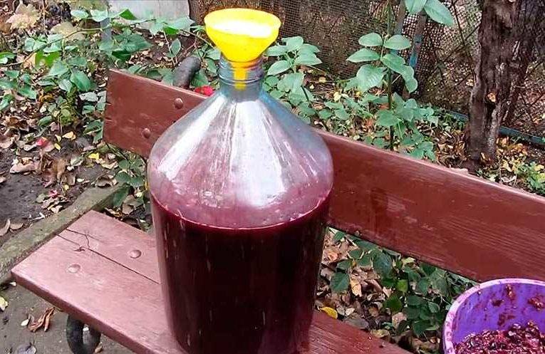 Можно ли приготовить настоящее виноградное вино в домашних условиях: рецепт
