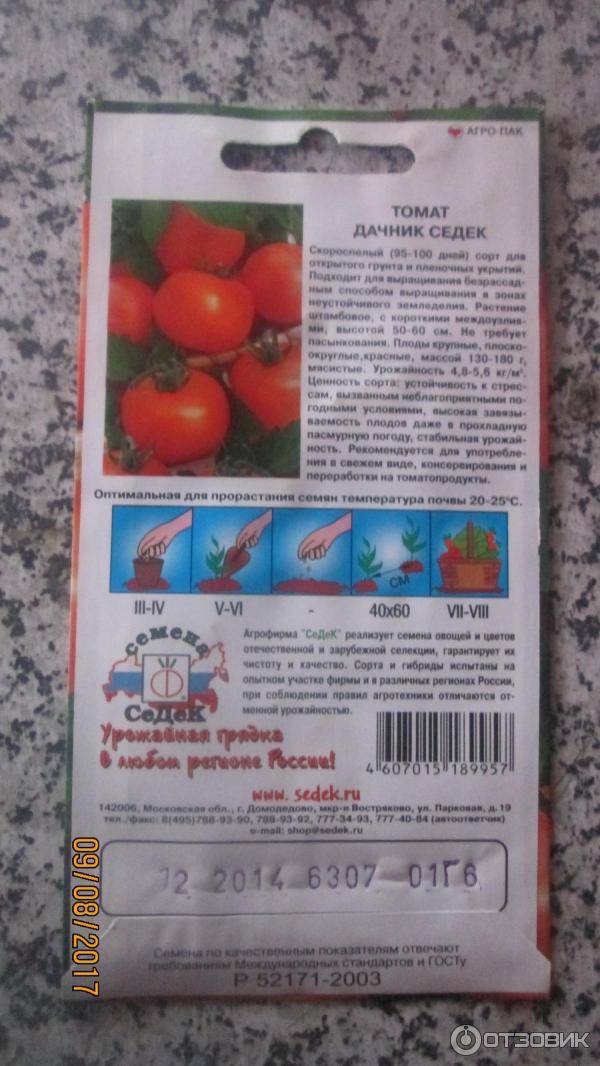 Описание сорта томата сицилийский перчик и его характеристика