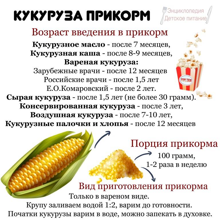 Консервированная кукуруза - польза и вред для организма мужчины и женщины. полезные свойства и противопоказания