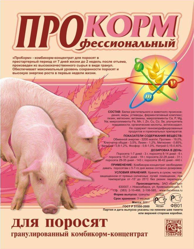 Как правильно кормить свиней для быстрого роста в домашних условиях: корма, добавки, комбикорма, органические добавки