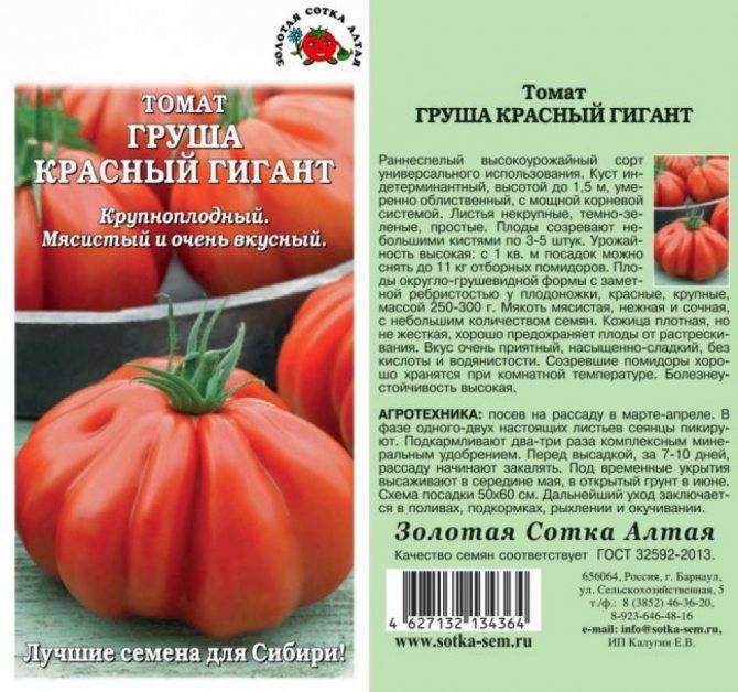 Томат “гигант красный”: мощные кусты с увесистыми помидорами