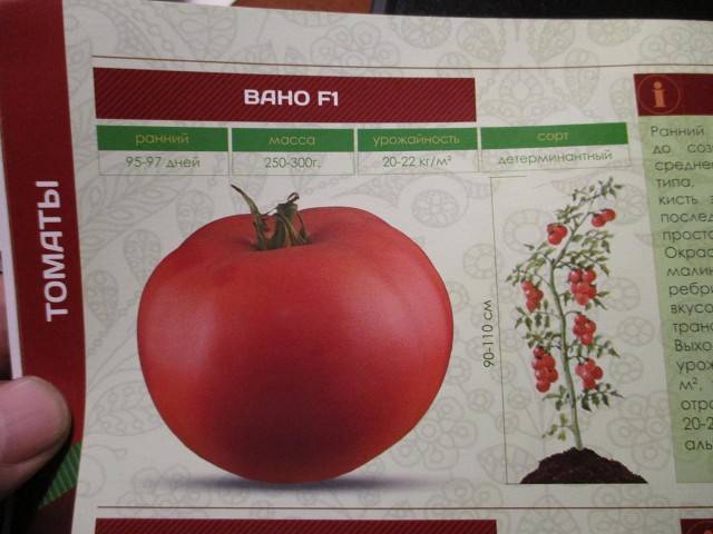 Лучшие полудетерминантные сорта томатов для россии и ее регионов
