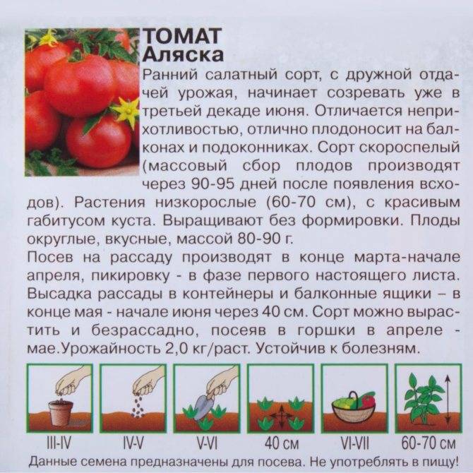 Урожайность, характеристика и описание сорта томата Аляска