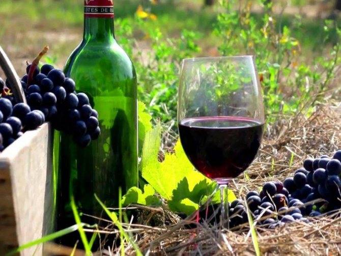 Вино из винограда в домашних условиях, ? простой рецепт без дрожжей с добавлением воды и сахара. домашнее вино из белого винограда и изабеллы