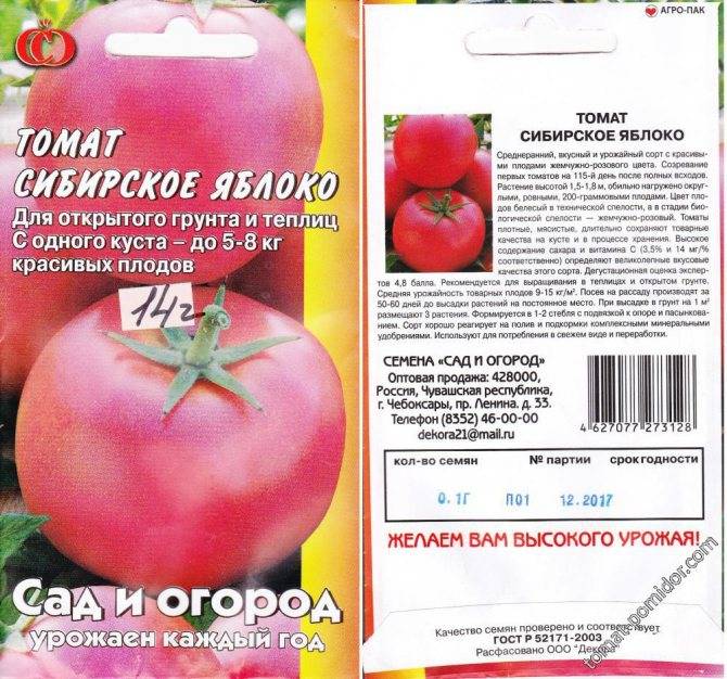 Описание сорта томата Сибирское яблоко, характеристика и урожайность