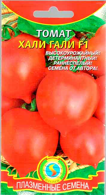 Сорт томатов хали гали, описание, характеристика и отзывы, а также особенности выращивания