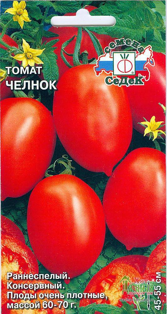 Томат «челнок» (23 фото): характеристика и описание сорта помидоров, выращивание в теплице, отзывы
