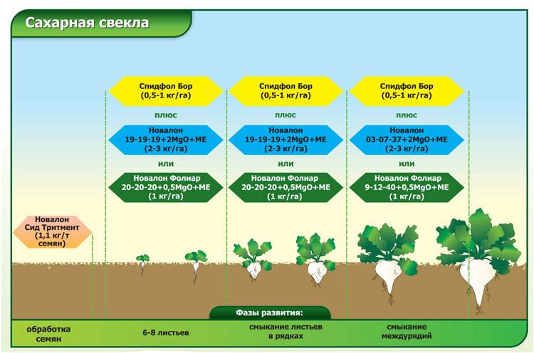 Применение гербицидов в сельском хозяйстве и теплицах