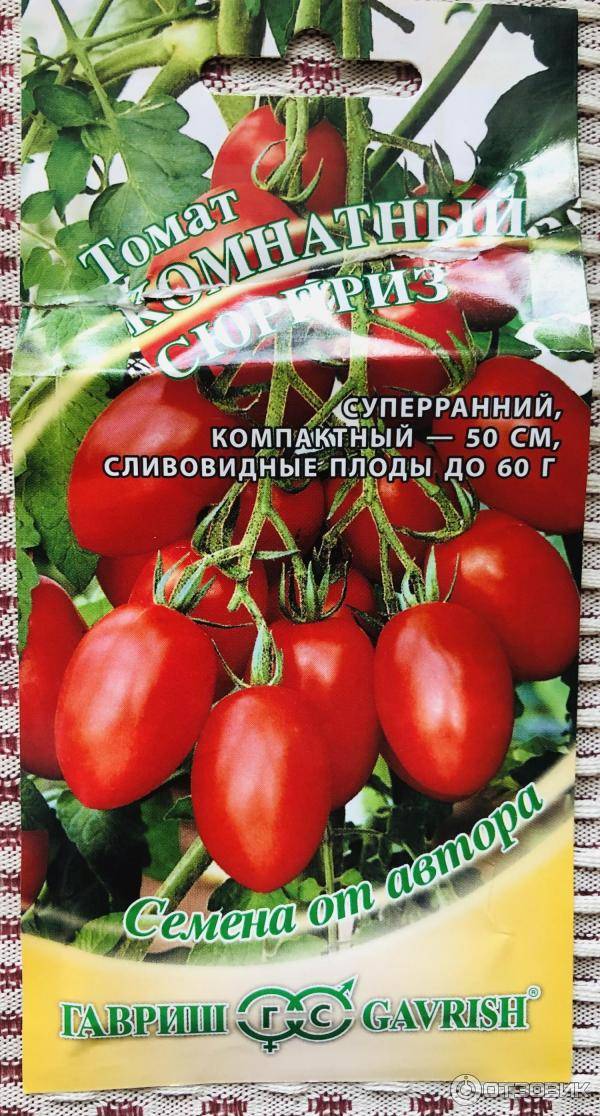 Семена томат горшечный красный: описание сорта, фото. купить с доставкой или почтой россии.