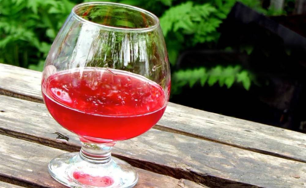 Как сделать клюквенную настойку на водке в домашних условиях – сайт о винограде и вине