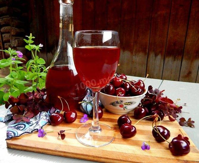 Рецепты и технология приготовления вина из ягод в домашних условиях