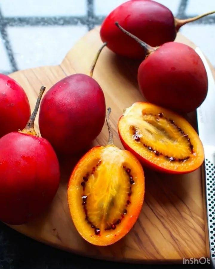 Тамарилло (томатное дерево): полезные свойства фрукта, где, как растет, состав, калорийность, противопоказания, применение в кулинарии