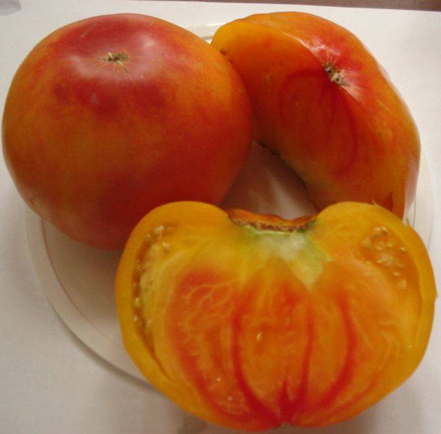 Томат грейпфрут: описание сорта помидоров, фото кустов и плодов, отзывы дачников, характеристика розового подвида