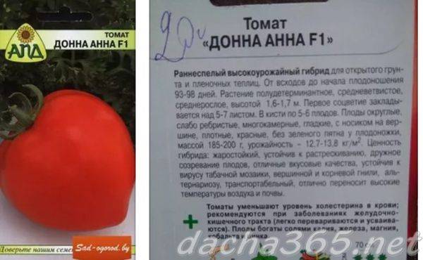 Лучшие полудетерминантные сорта томатов для россии и ее регионов