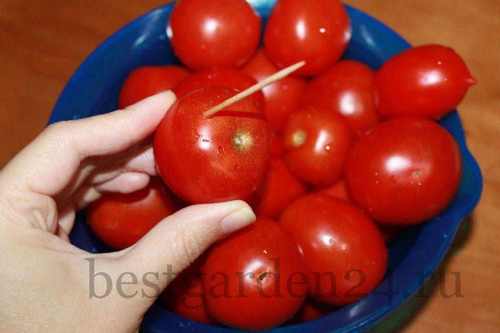 Причины, почему трескаются помидоры при созревании в теплице: почему томаты лопаются на кустах и как предотвратить эту проблему