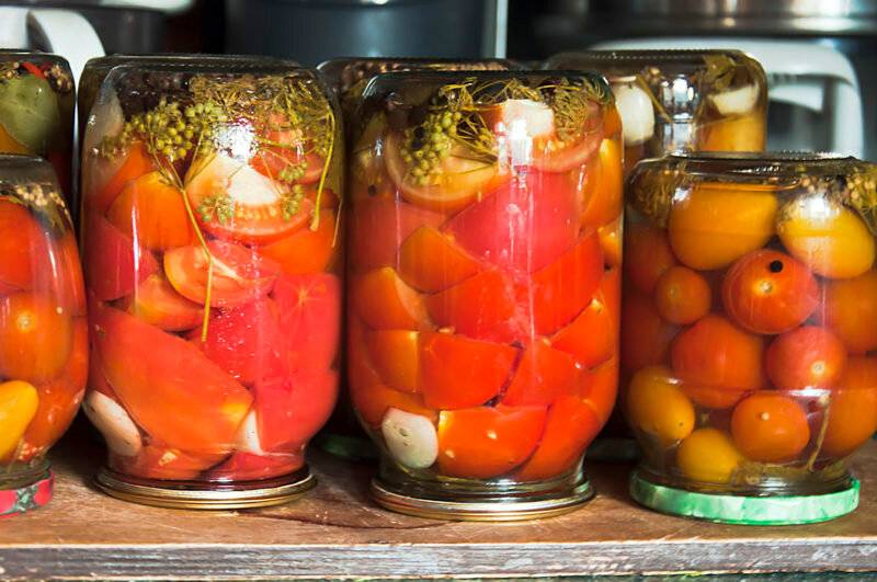 Соленые помидоры на зиму в банках – очень вкусные рецепты