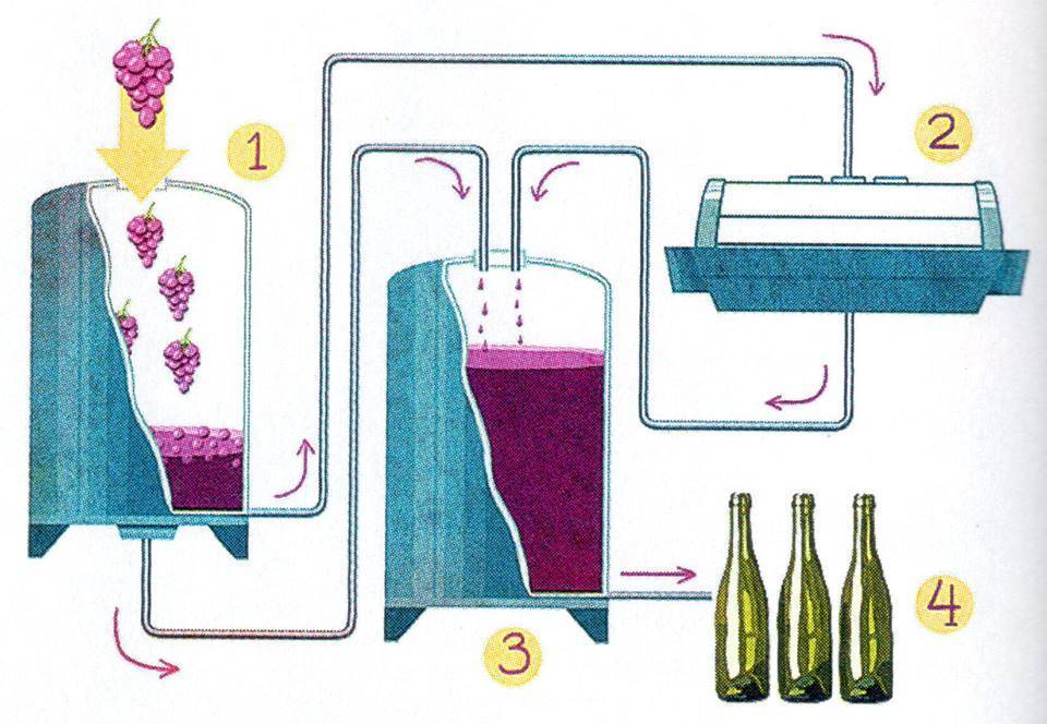 Вино в домашних условиях — простой рецепт насыщенного напитка. производство домашнего вина: простые рецепты для новичков