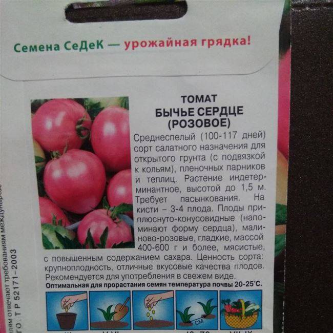 Сорт с восхитительной урожайностью — томат черное сердце бреда: детальное описание помидоров