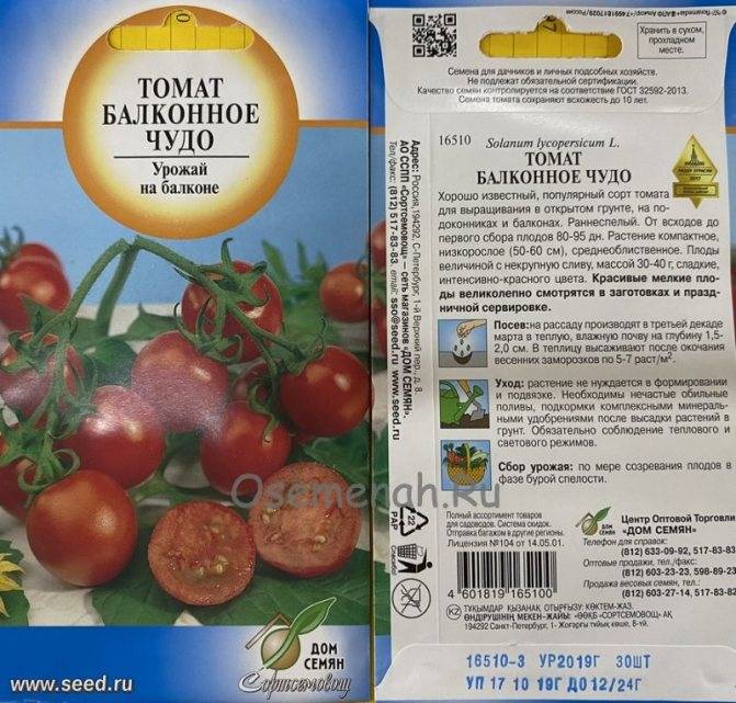 Помидоровый рай на вашем участке — томат чудо рынка: описание сорта и советы по уходу