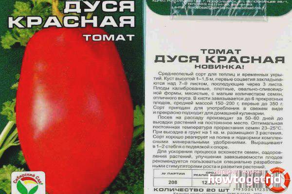 Помидоры-гиганты с замечательным вкусом — томат три толстяка: описание сорта и характеристика