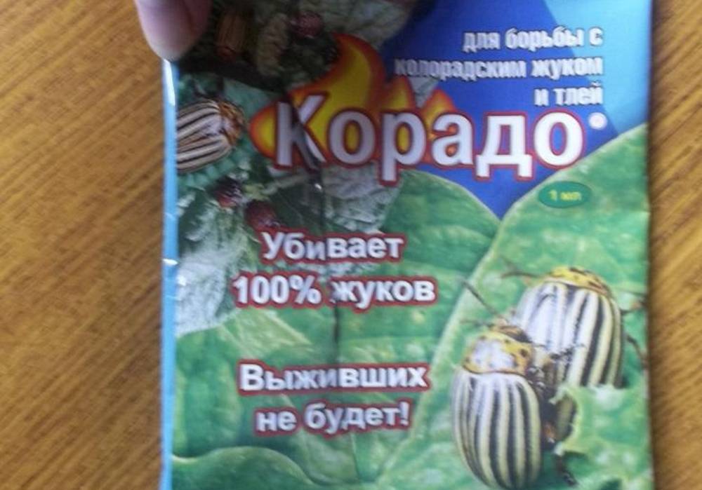 Применение корадо от колорадского жука