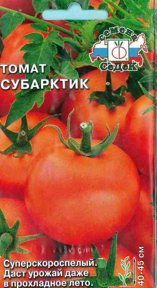 Томат субарктик: характеристика и описание сорта, выращивание и уход с фото