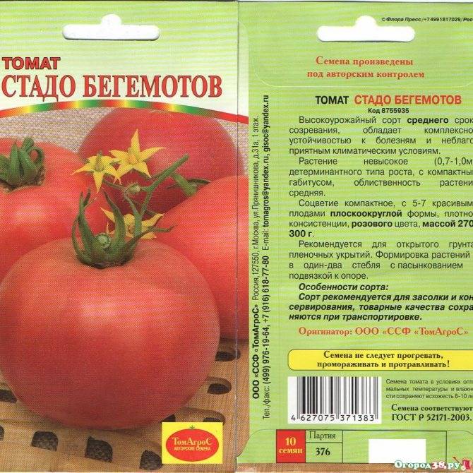 Томат очарование: характеристика и описание сорта, отзывы об урожайности помидоров, фото куста