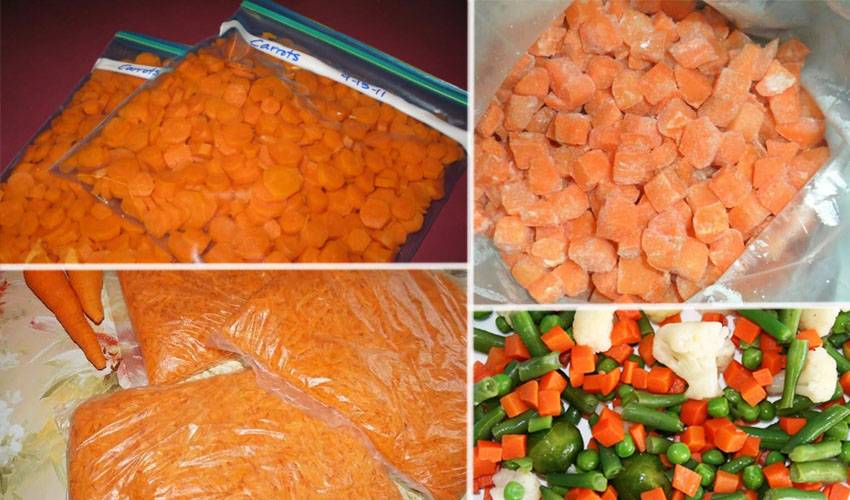 Заморозка моркови на зиму в домашних условиях: лучшие рецепты