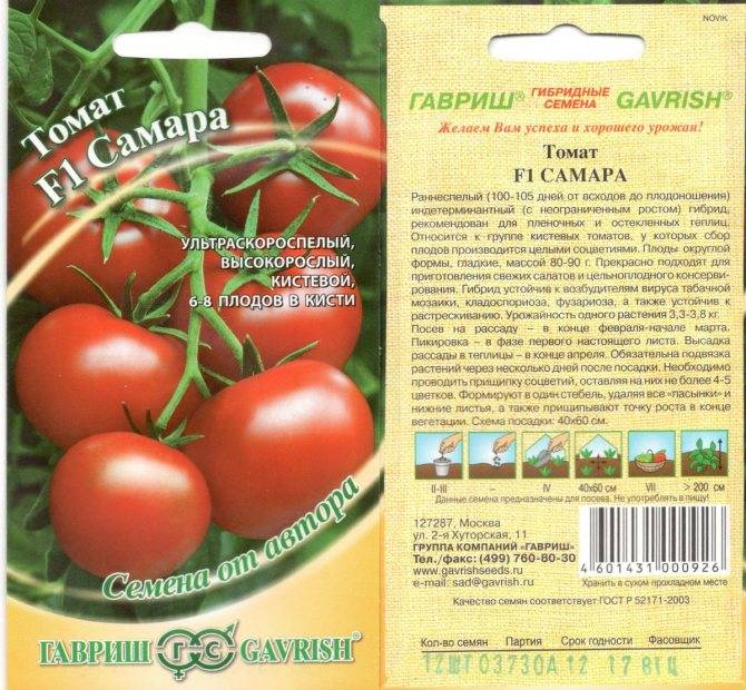 Лучшие сорта томатов Кировской селекции для теплиц и открытого грунта