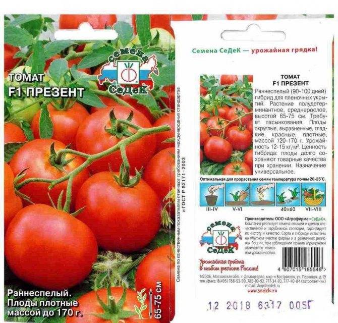 Характеристика и описание томата рубинчик f1, рекомендации огородников