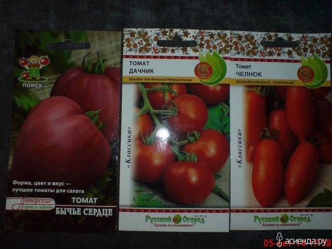 Описание сорта томата василий, его характеристика и выращивание. характеристика томата сват f1 и описание выращивания сорта