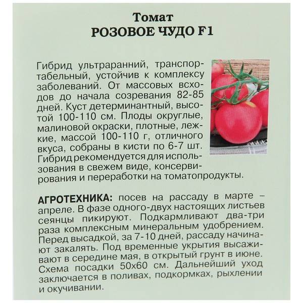 Сорт томата «новичок розовый»: описание, характеристика, посев на рассаду, подкормка, урожайность, фото, видео и самые распространенные болезни томатов