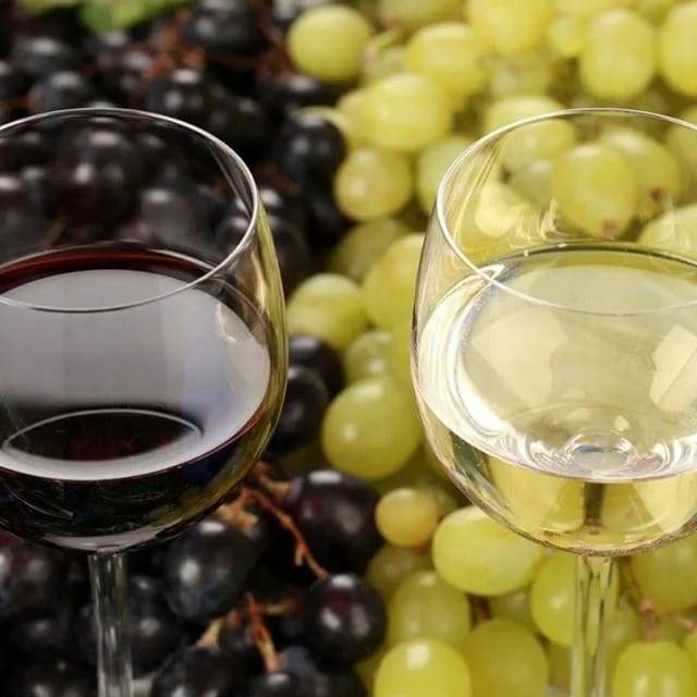 Простые рецепты вина для изготовления в домашних условиях