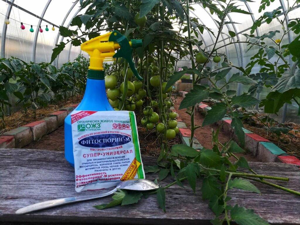 Фитоспорин для рассады: инструкция по применению для огурцов, томатов, перца, капусты, обеззараживание почвы раствором фитоспорина