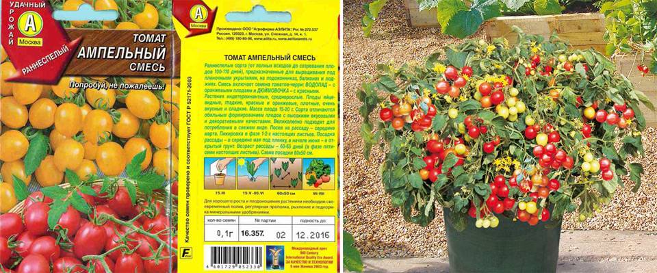 Томат сан-марцано: описание сорта, его выращивание и урожайность с фото