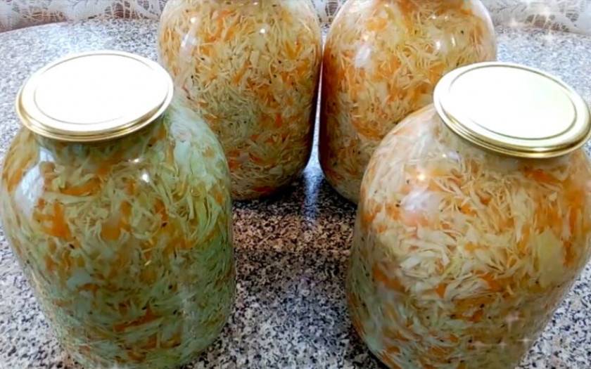 Квашеная капуста быстрого приготовления: 5 рецептов хрустящей и сочной капусты