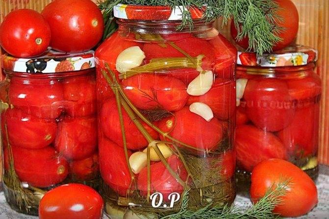 14 лучших рецептов квашеных помидор на зиму: как с бочки, соленные, простые заготовки