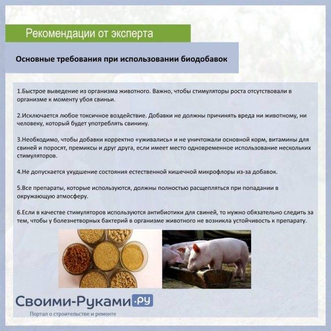 Комбикорм для свиней: виды, состав, как и сколько кормить, рецепт