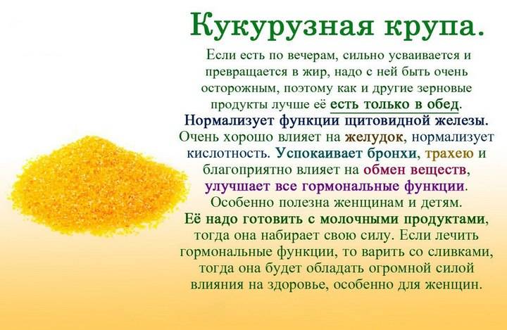 Золотые кочаны. польза и вред кукурузы и особенности сортовых «скороварок» | правильное питание | здоровье | аиф украина