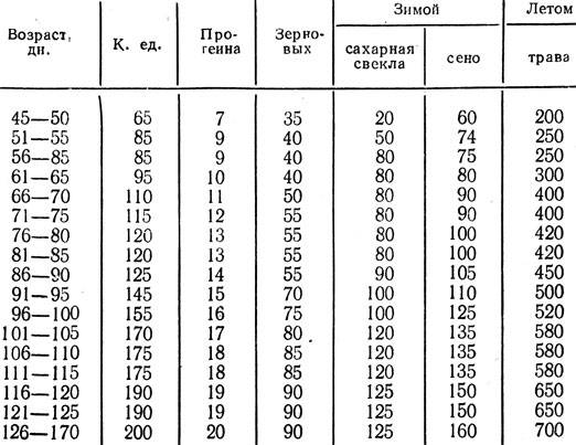 Сколько весит кролик: таблица веса разных пород по месяцам