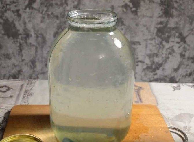 Домашний березовый сок на зиму