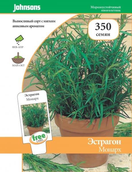 Тархун (растение): описание, выращивание :: syl.ru