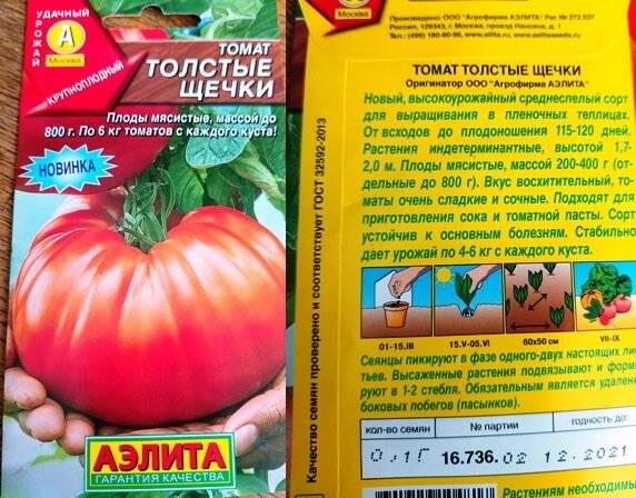 Томат толстой: отзывы, фото, урожайность, описание и характеристика | tomatland.ru