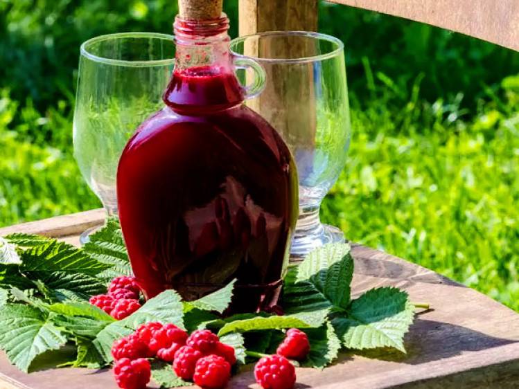 Вино домашнее: рецепт. простые рецепты приготовления домашних вин :: syl.ru