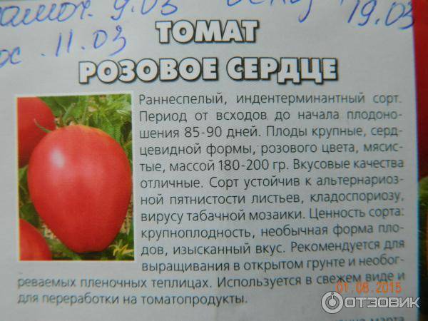 Розовый лидер: описание сорта томата, характеристики помидоров, посев