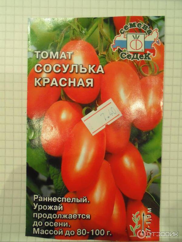 Особенности выращивания, описание, применение помидор сорта «сосулька красная»