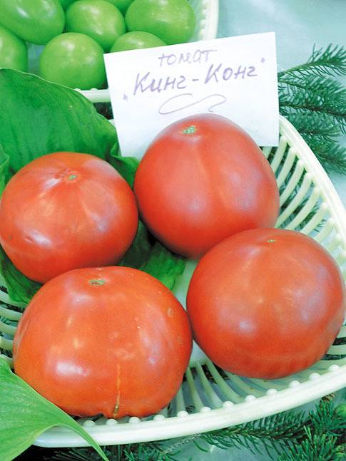 Описание сорта томата кинг-конг, особенности выращивания и ухода