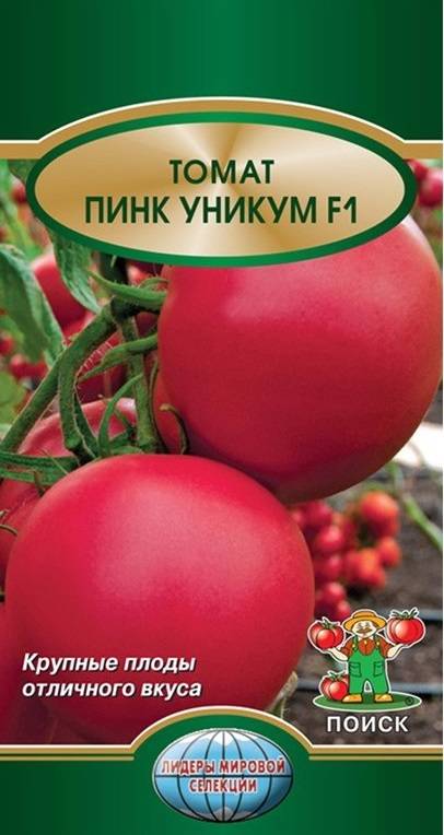 Пинк уникум: подробное описание особенностей выращивания томата